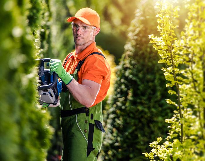 empresa de jardinería en tenerife