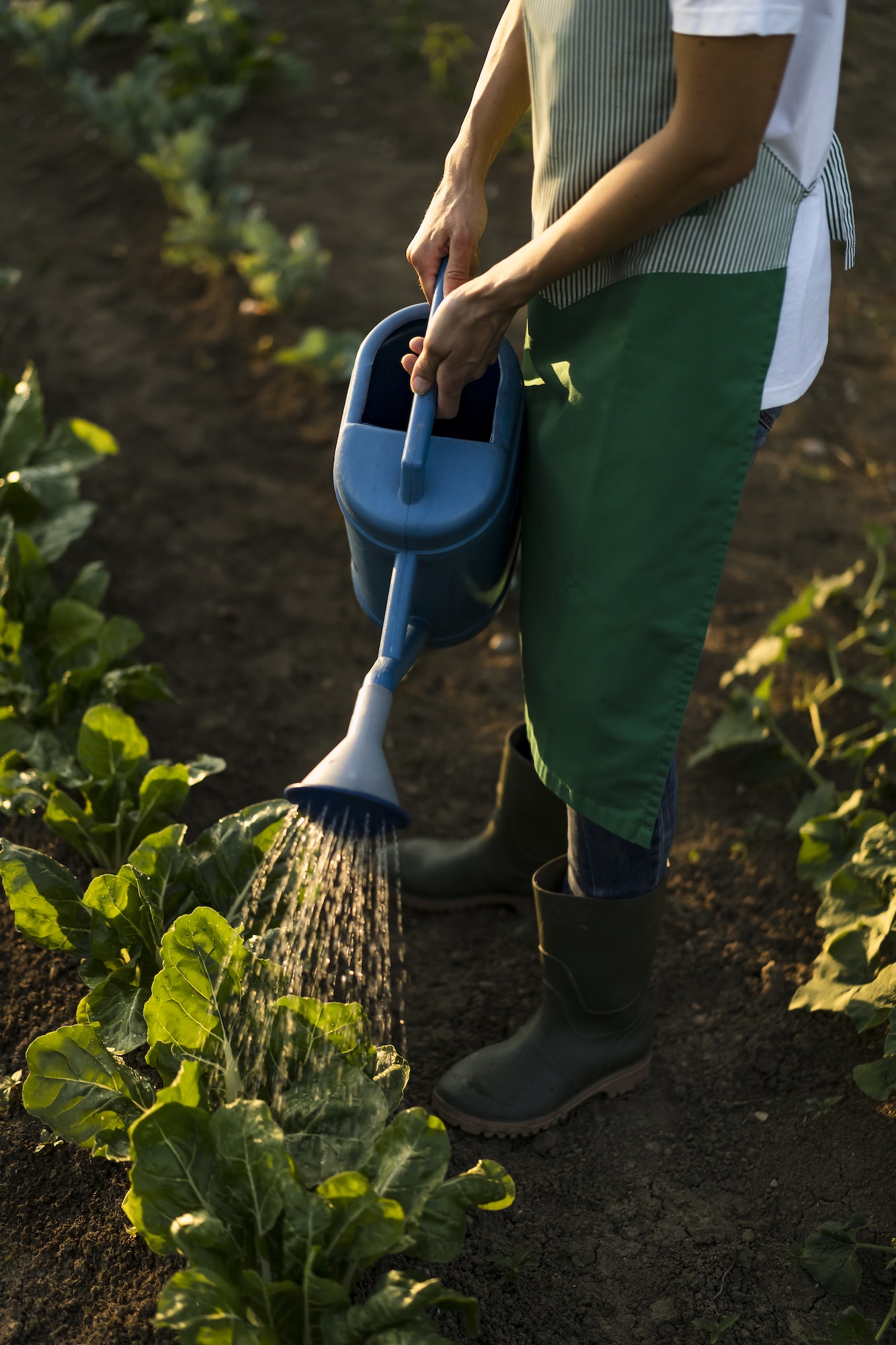 empresa de jardinería en tenerife